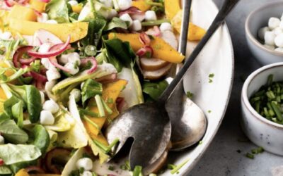 Salade met witlof en mango